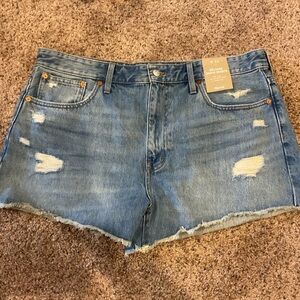 Madewell Women's Distressed Blue Jean Shorts